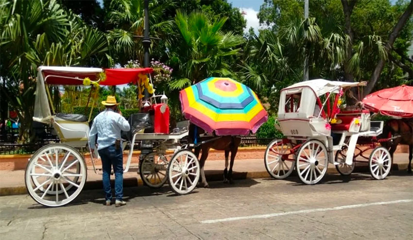 Los conductores de carros de Mérida
