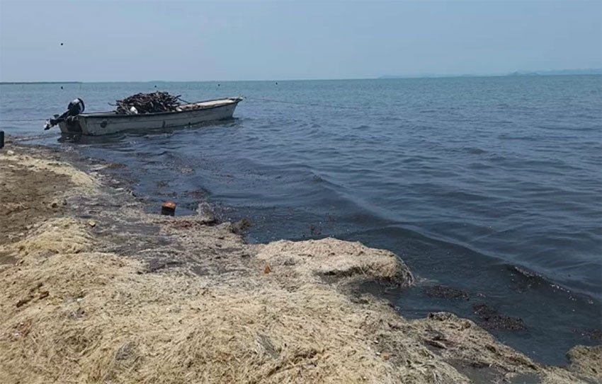El segundo lago más grande de México es ahora un cementerio de barcos pesqueros abandonados